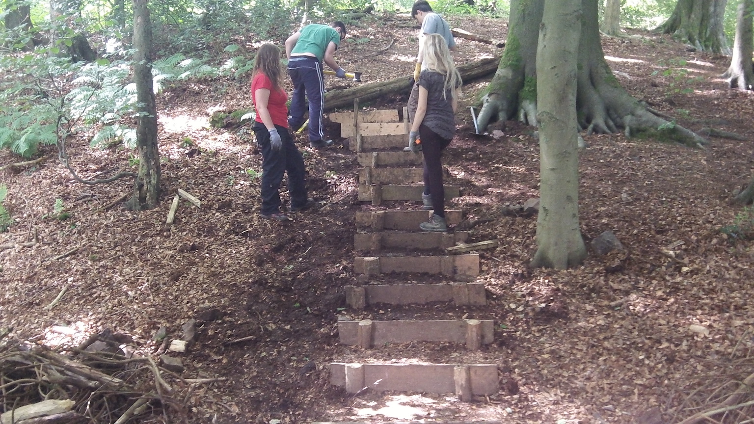 Young people building steps